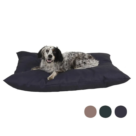 The Solid Shebang Rectangle Indoor Outdoor Pet Bed