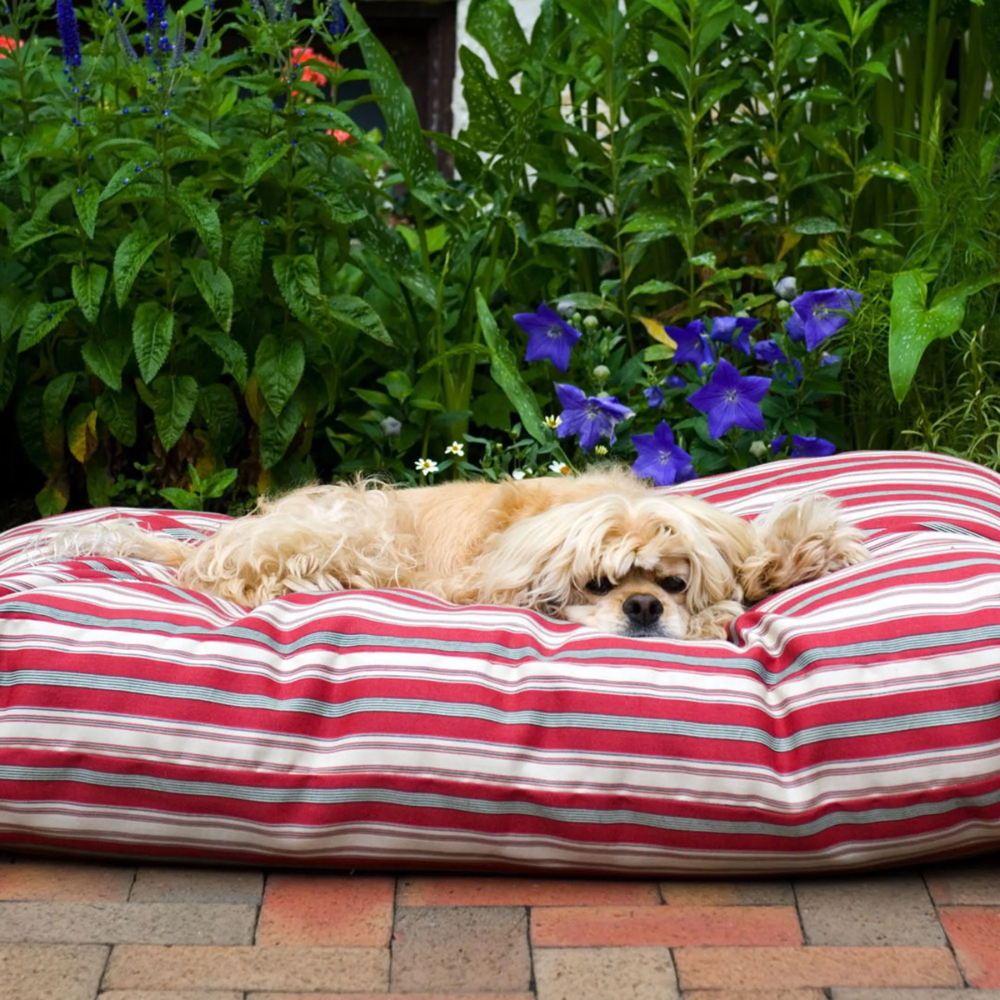 The Striped Jamison Rectangle Indoor Outdoor Pet Bed