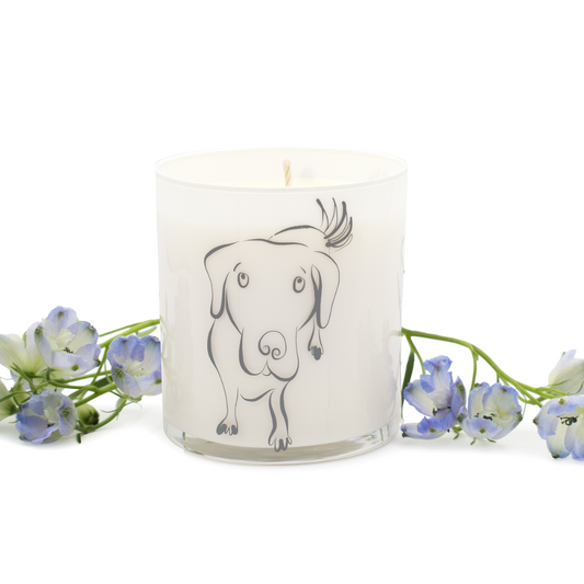 Gray Large Dog Jar Candle - Wet Dog Fresh Rain Scent