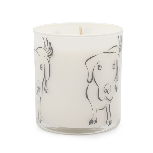 Gray Large Dog Jar Candle - Wet Dog Fresh Rain Scent