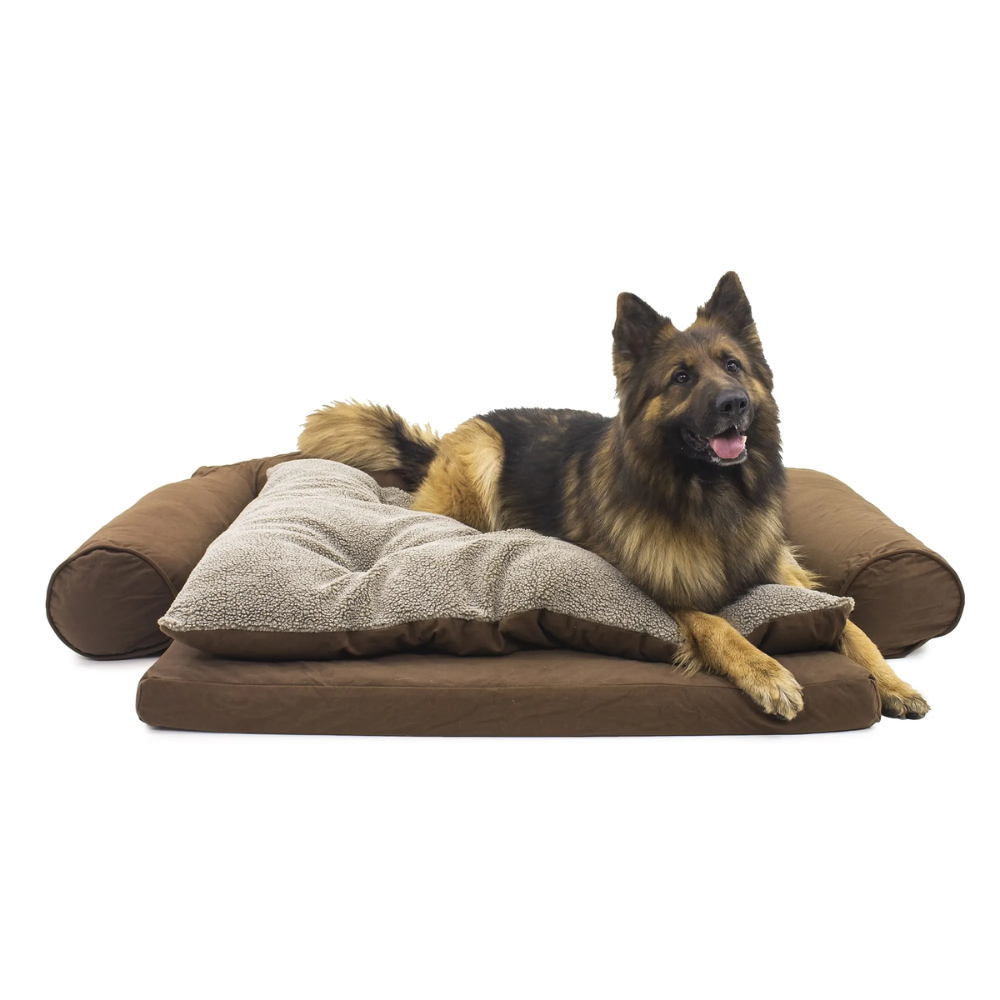Orthopedic Sleeper Comfort Couch Bed