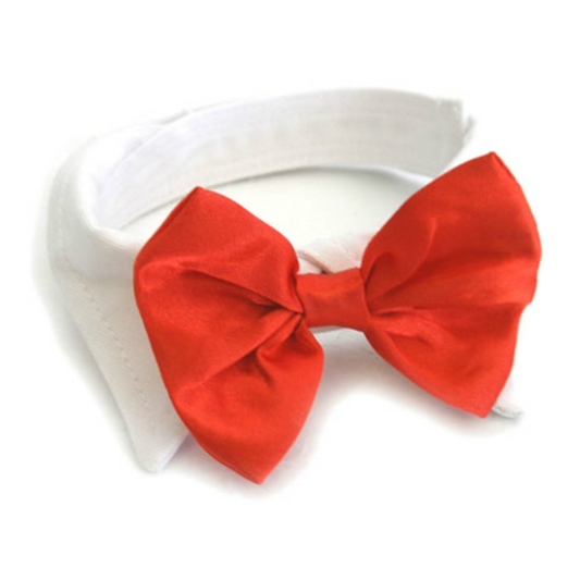 White Collar & Red Satin Bow Tie Set