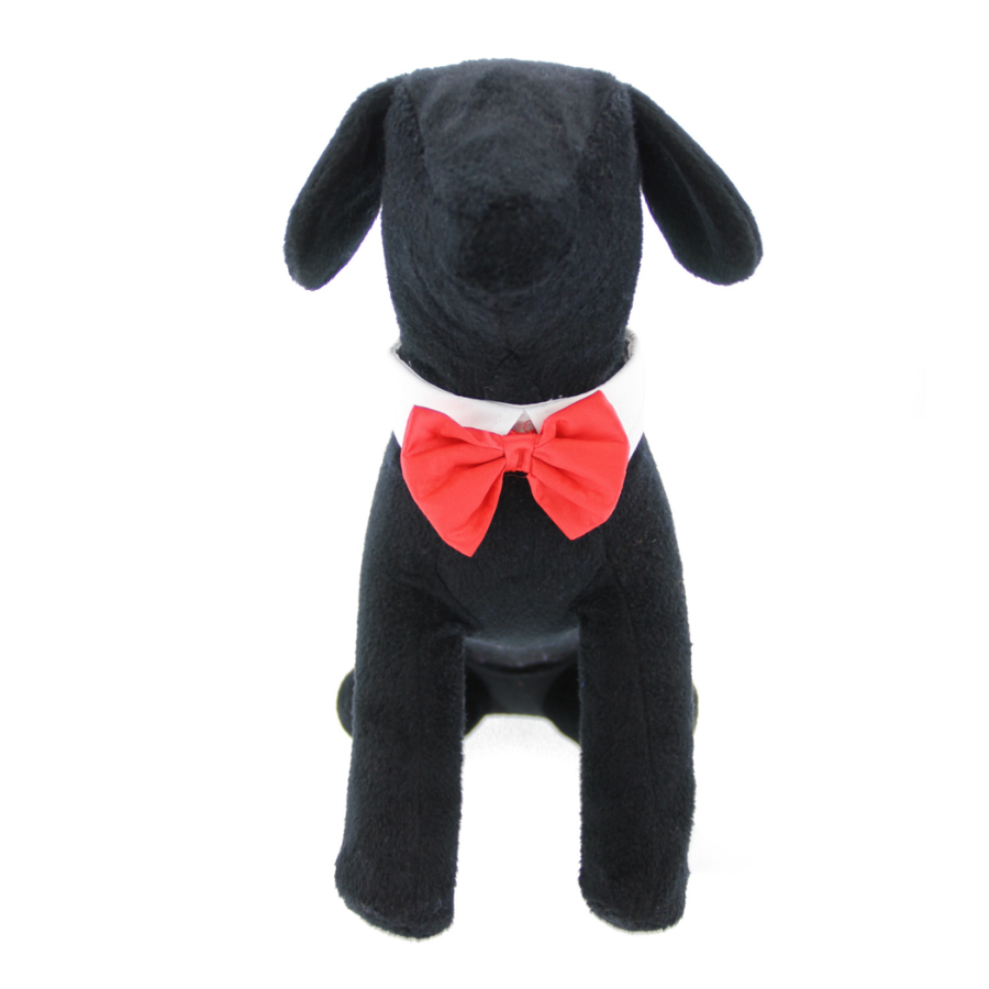 White Collar & Red Satin Bow Tie Set