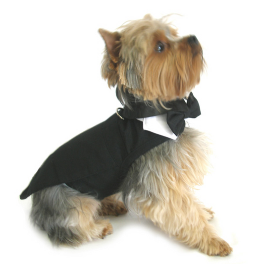 Dog Harness Black Tuxedo With Tails, Bow Tie, and Cotton Collar Set