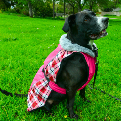 Alpine All-Weather Dog Coat - Raspberry Plaid