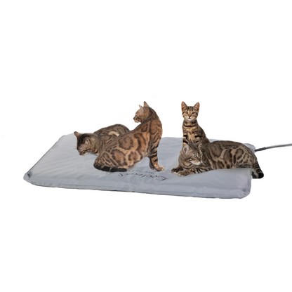 Lectro-Soft Outdoor Heated Pet Bed