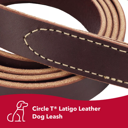 Circle T® Latigo Leather Dog Leash