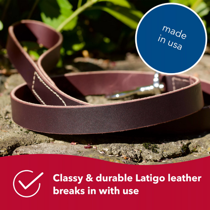 Circle T® Latigo Leather Dog Leash