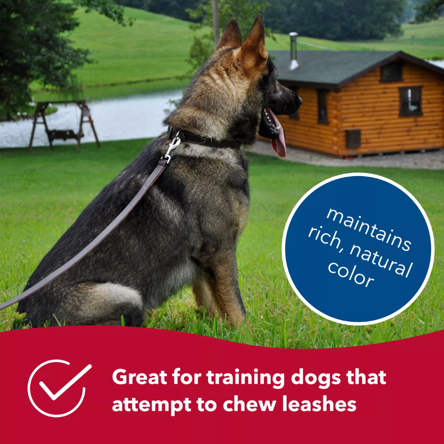 Circle T® Latigo Leather Dog Leash