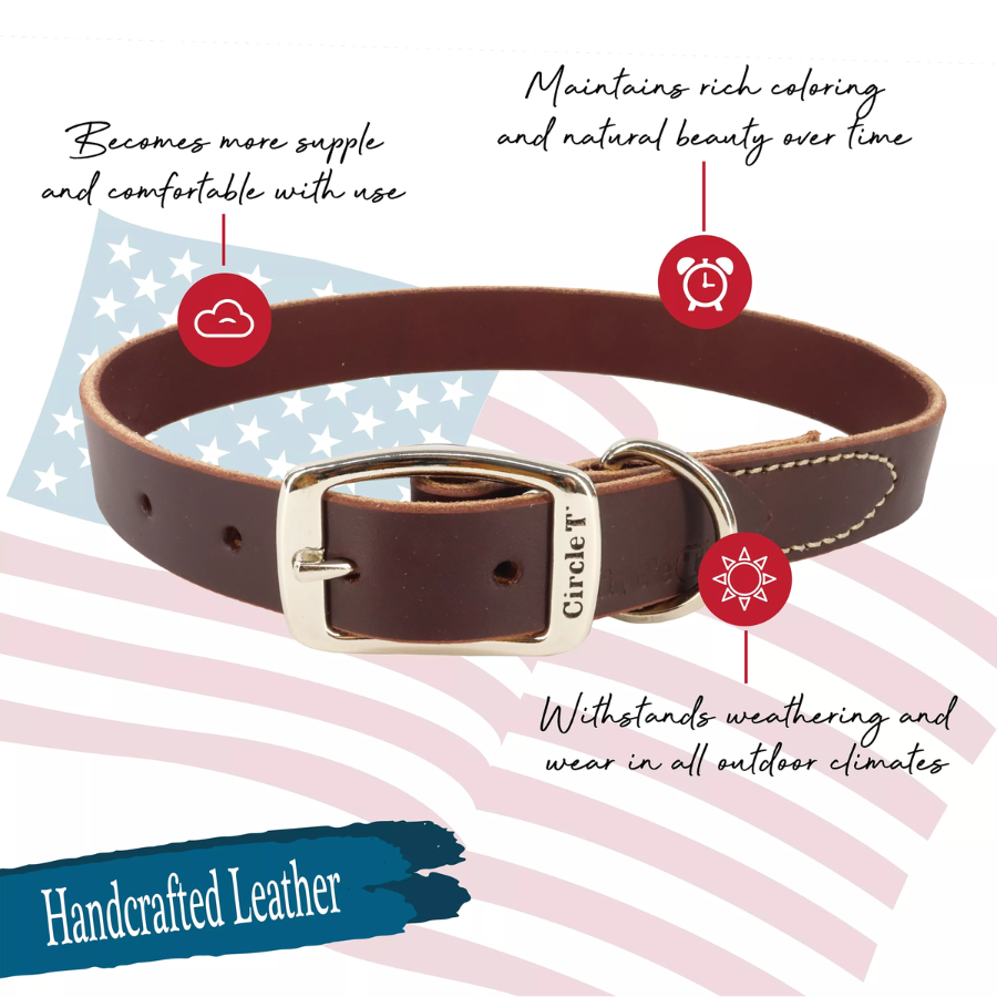 Circle T® Latigo Leather Town Dog Collar