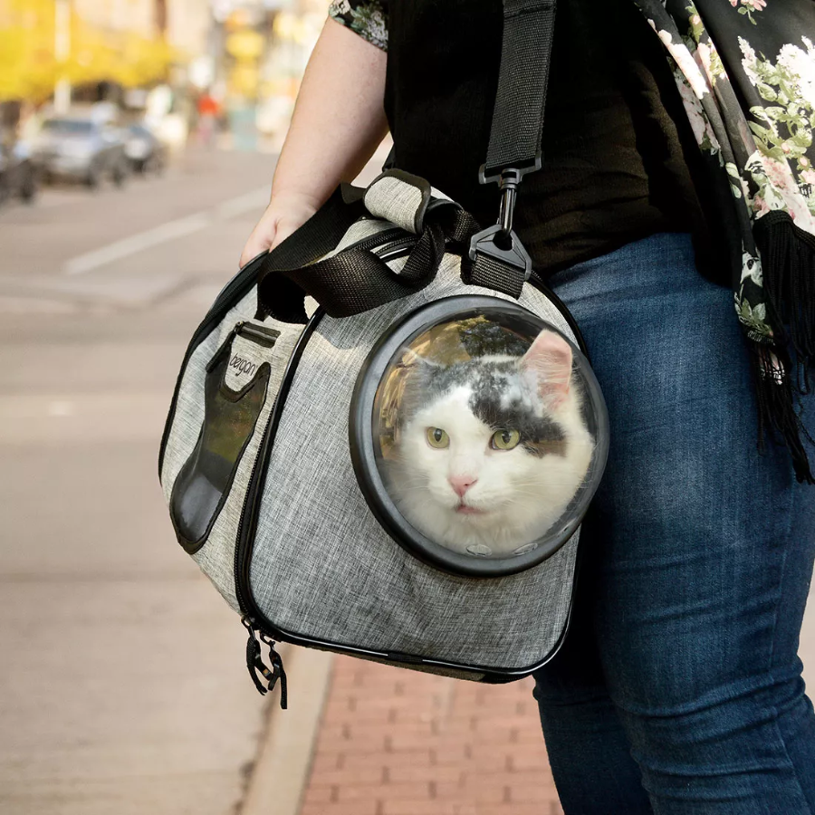 Bergan Panoramic Cat Carrier