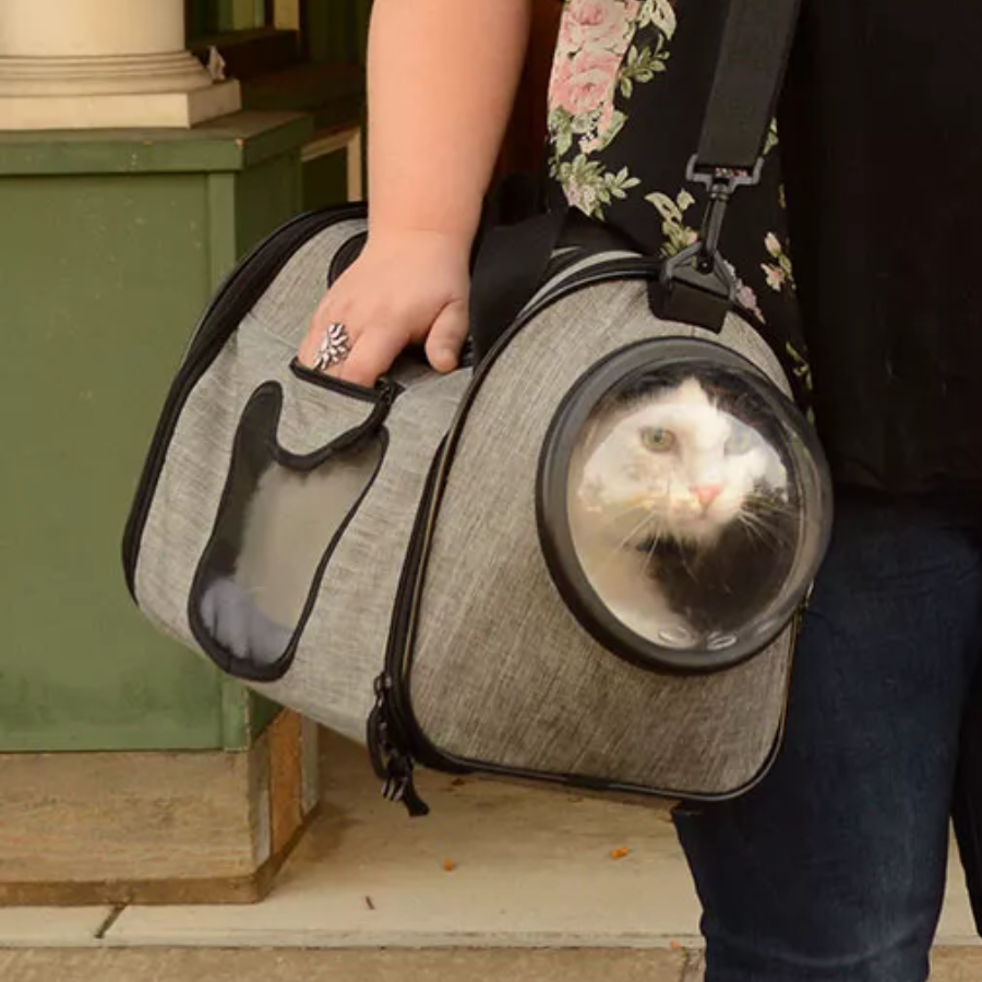 Bergan Panoramic Cat Carrier