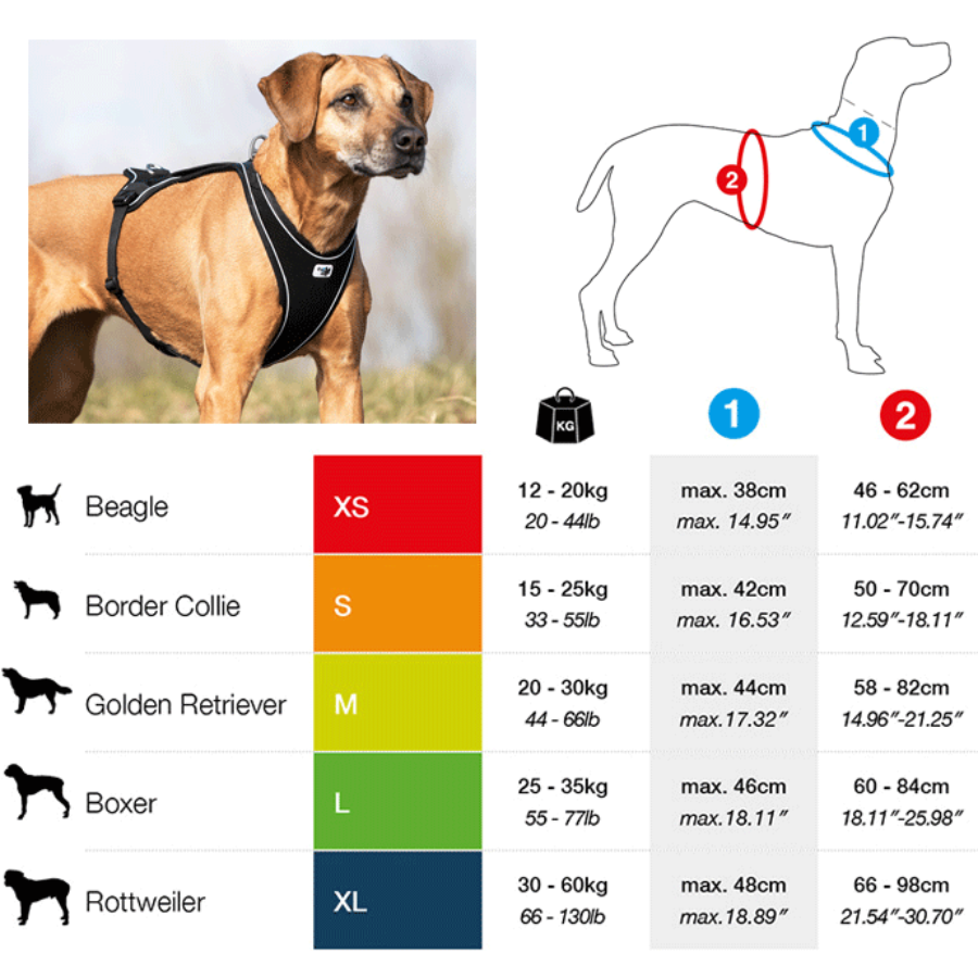 Belka Comfort Harness