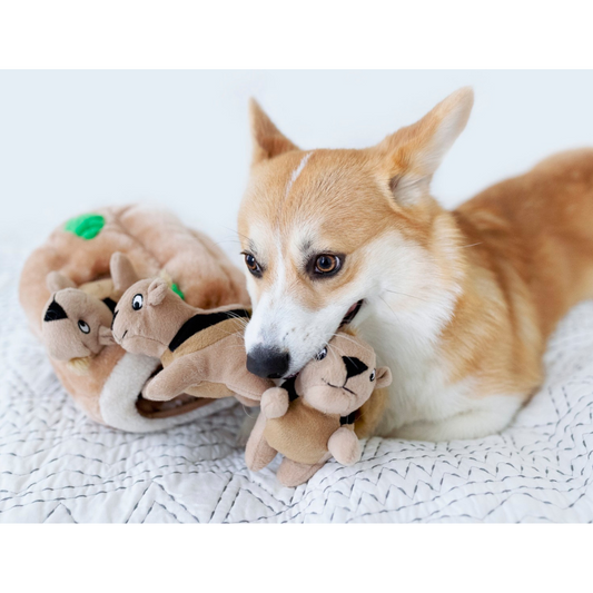Hide A Toy Plush Puzzle Toy - Squirrel