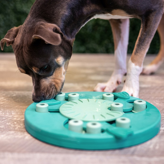 Dog Worker Interactive Treat Puzzle Dog Toy