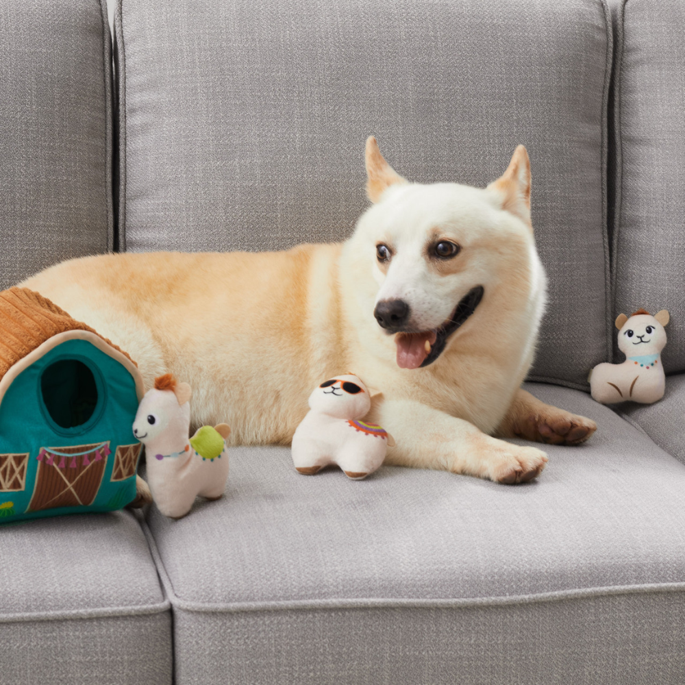 Hide A Llama Plush Dog Toy Puzzle