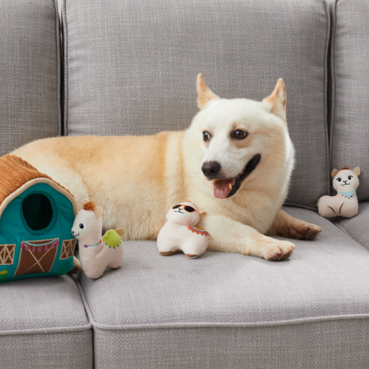Hide A Llama Plush Dog Toy Puzzle