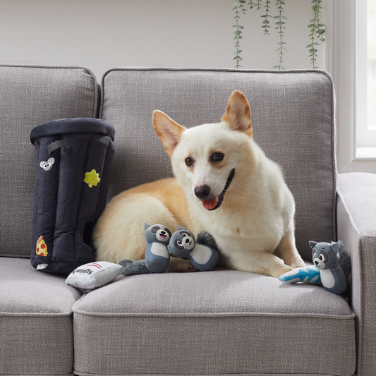 Hide A Raccoon Plush Dog Toy Puzzle