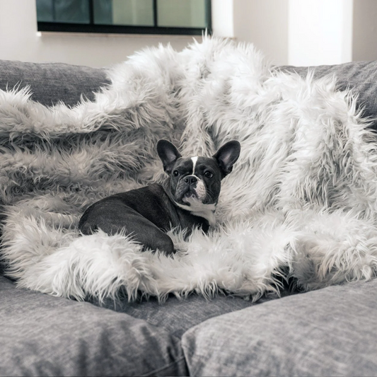 PupProtector™ Waterproof Throw Blanket - Light Grey