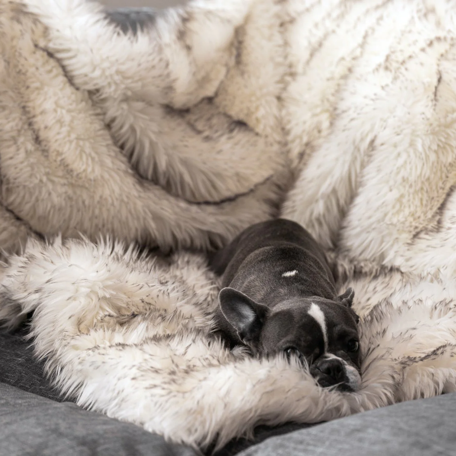 PupProtector™ Waterproof Throw Blanket - White with Brown Accents