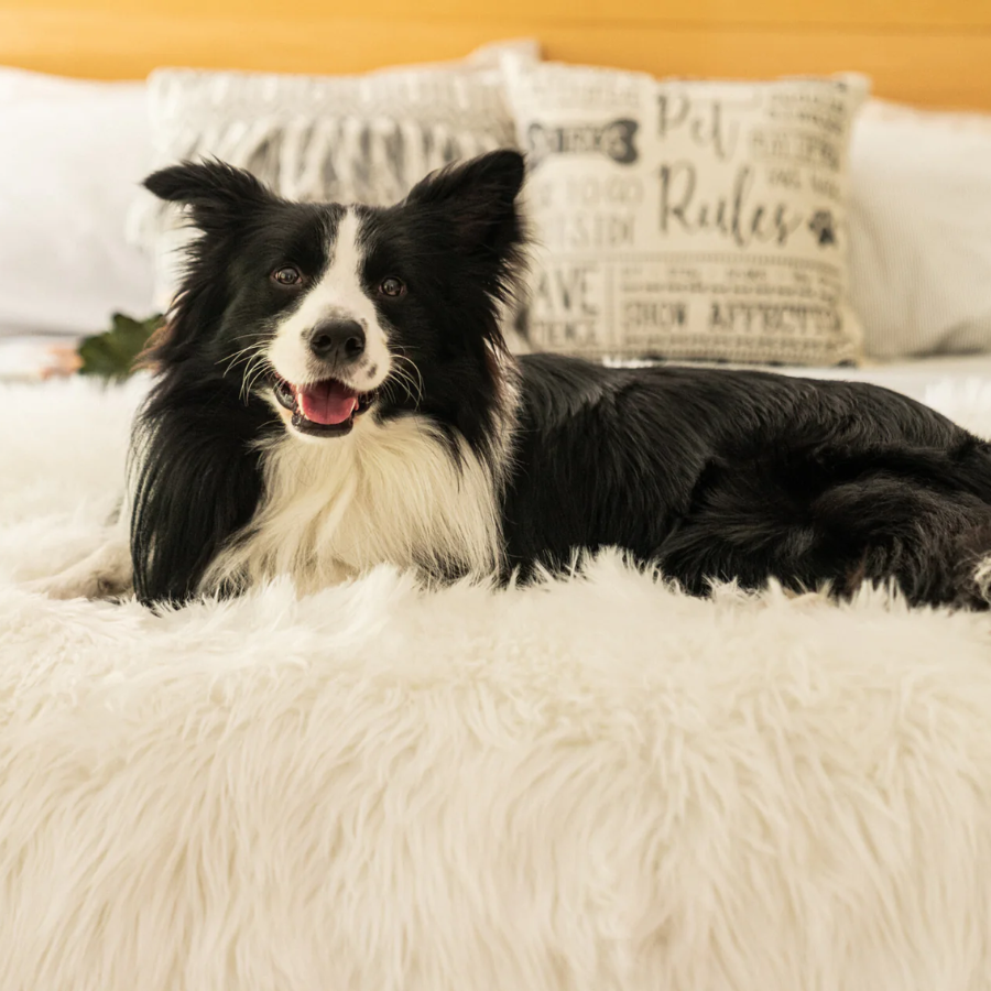 PupProtector™ Waterproof Throw Blanket - Polar White