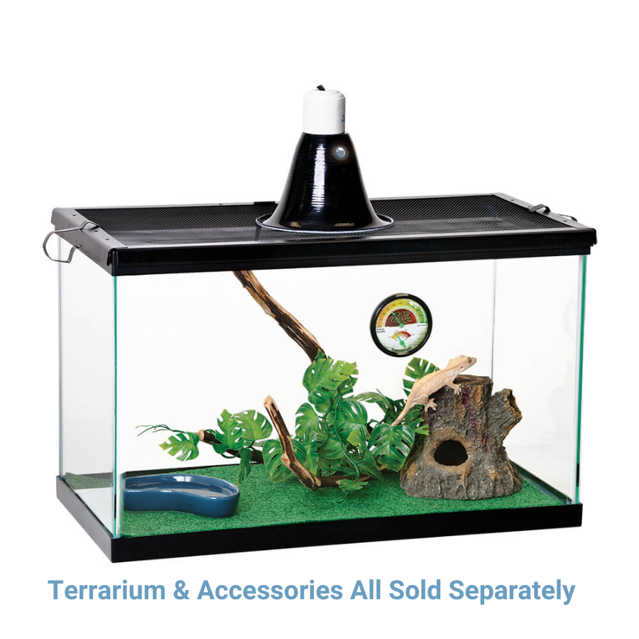 Reptile Terrarium Liners