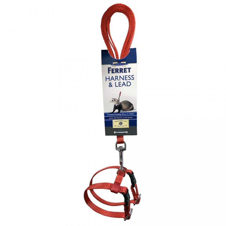 Harness and Lead Set