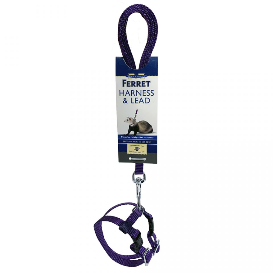 Harness and Lead Set