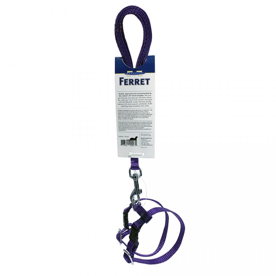 Harness and Lead Set
