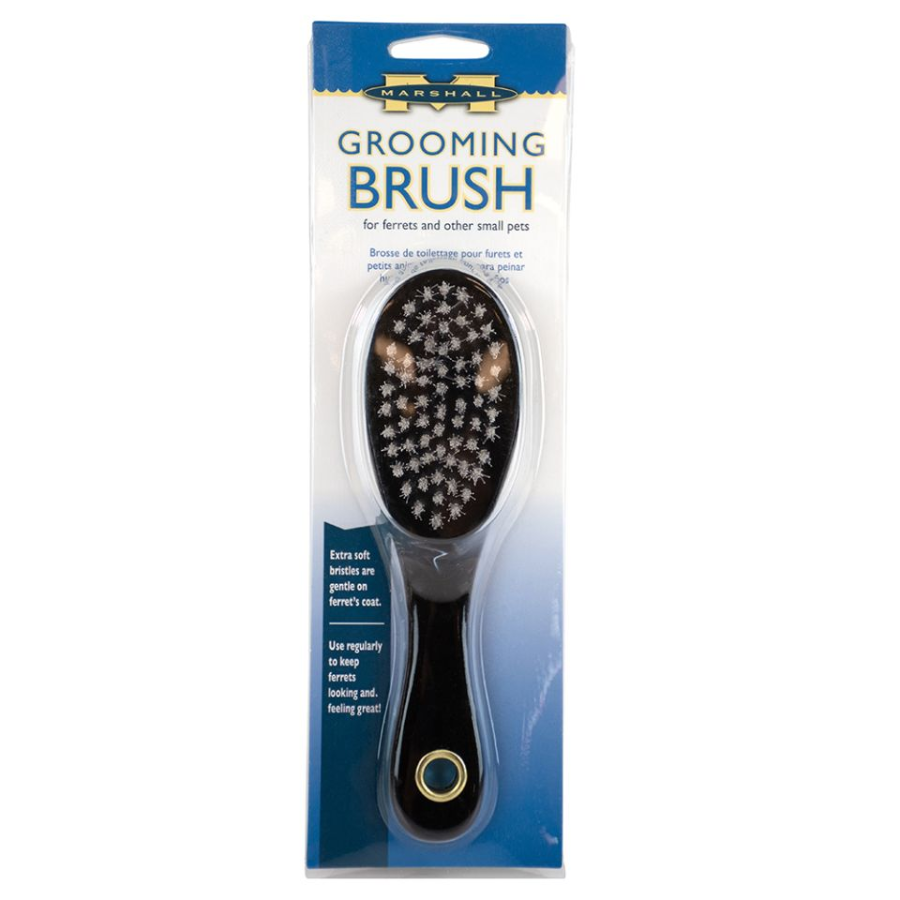 Ferret Grooming Brush