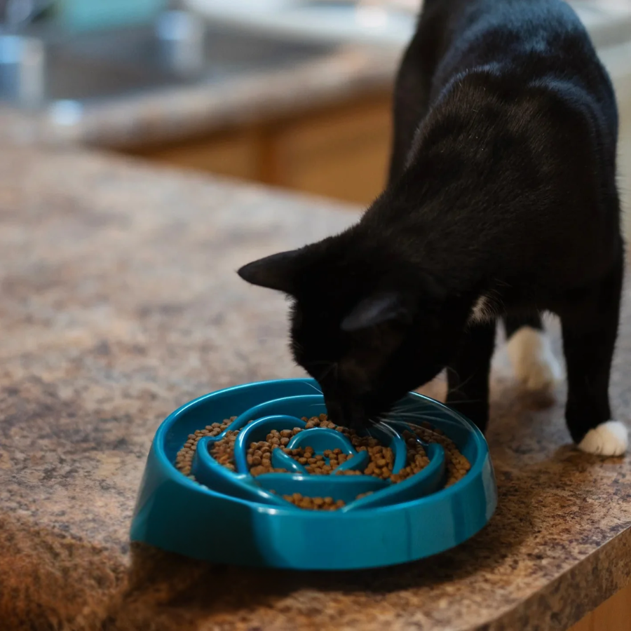 Interactive Slow Feeder For Dogs or Cats