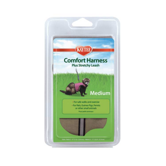 Comfort Harness & Stretchy Leash