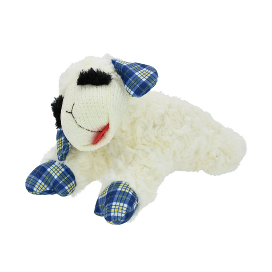 Hanukkah Lamb Chop