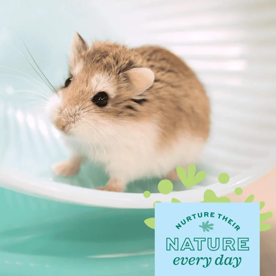 Enriched Life – Hamster Habitat