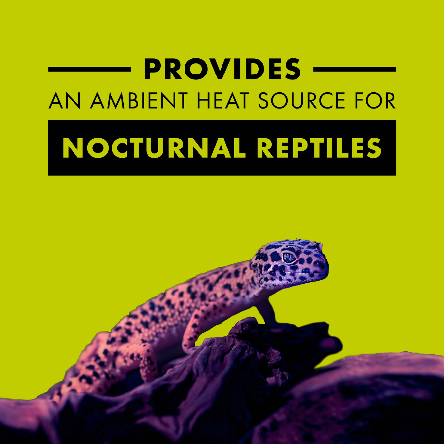 Incandescent Reptile Lighting - Night Black Heat Bulbs