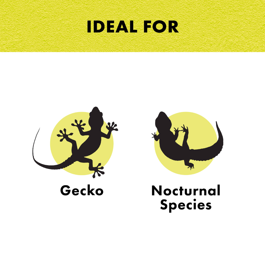 Incandescent Reptile Lighting - Night Black Heat Bulbs