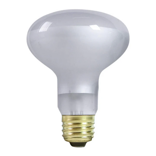 Incandescent Basking Spot Bulbs - Day White Light