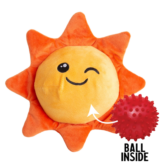 Sweet Sunshine 2 in 1 Plush Dog Toy