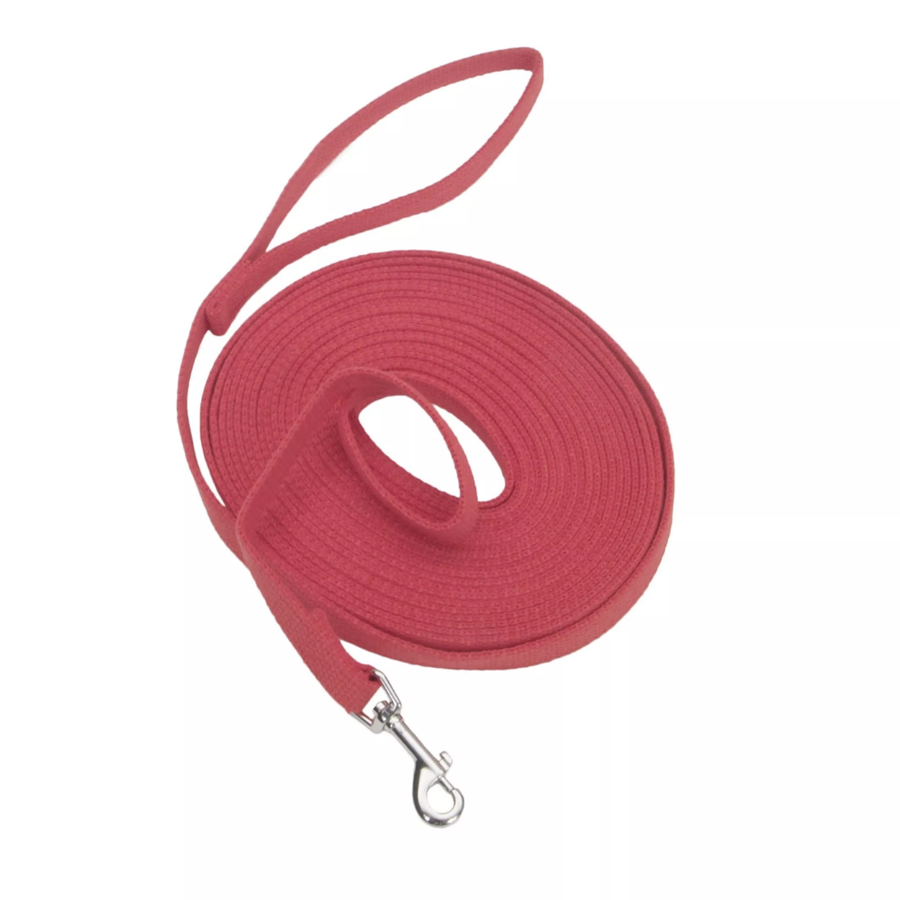 Train Right! Cotton Web Dog Training Leash