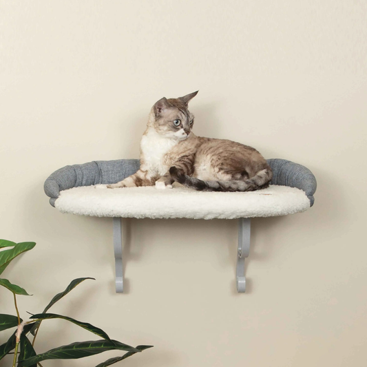 Universal Wall Mount Cat Shelf With Bolster
