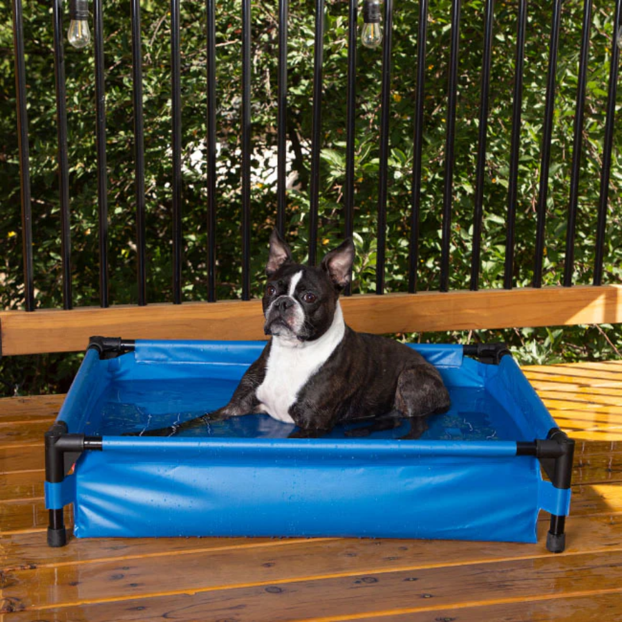 Pet Pool