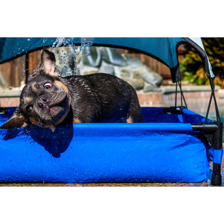 Pet Pool