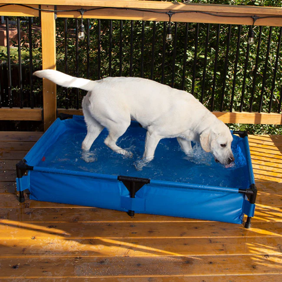 Pet Pool