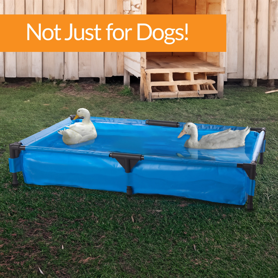 Pet Pool