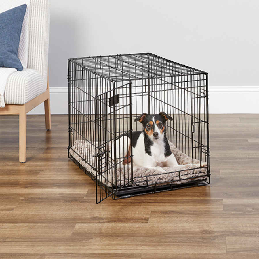 iCrate® Dog Crate