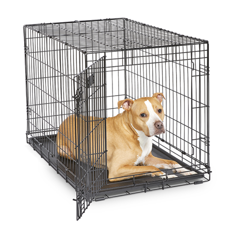iCrate® Dog Crate