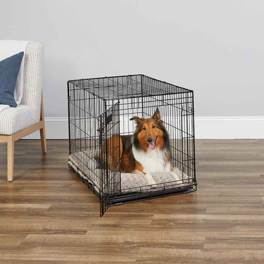 iCrate® Dog Crate