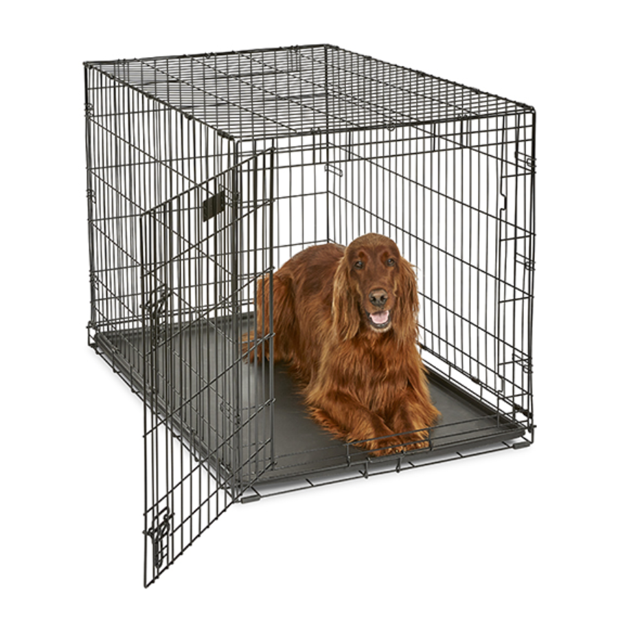 iCrate® Dog Crate