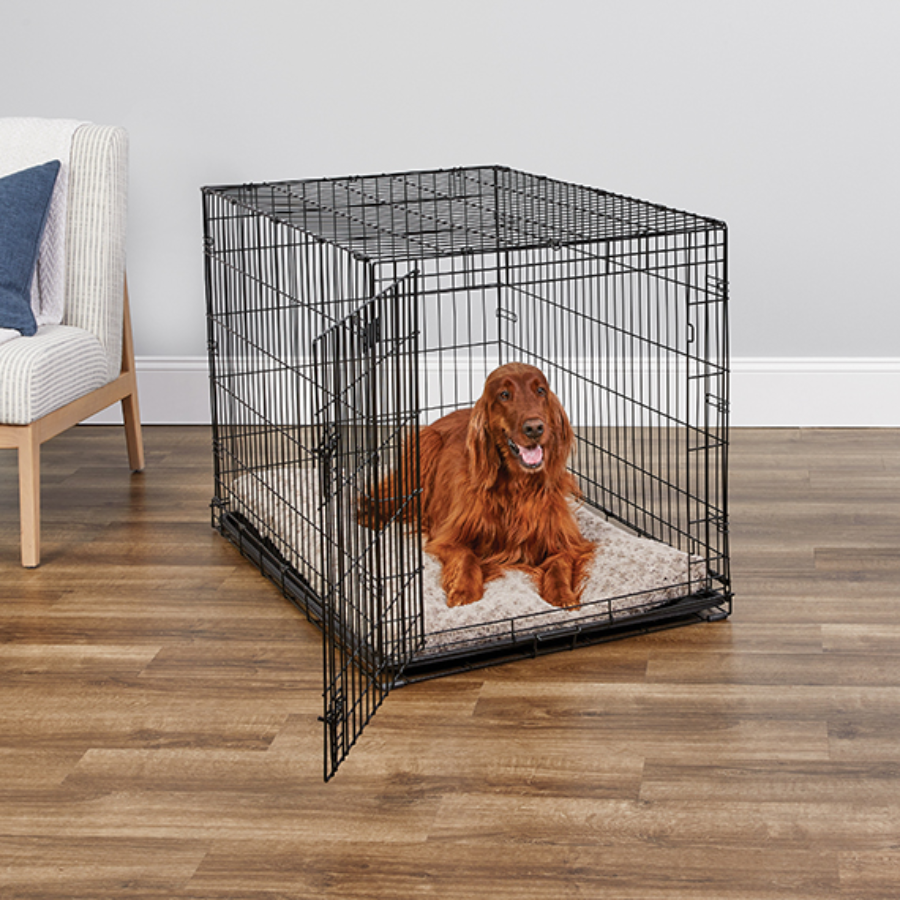 iCrate® Dog Crate