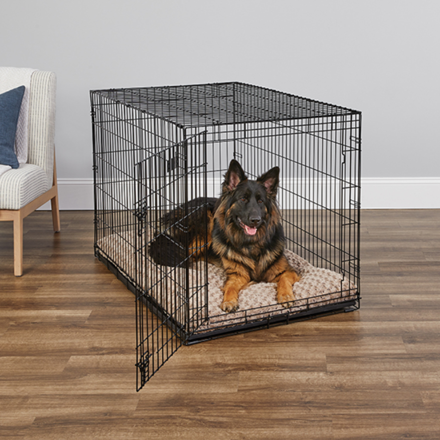 iCrate® Dog Crate